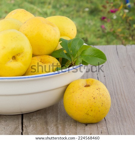 bowl with quince/quince/fruit