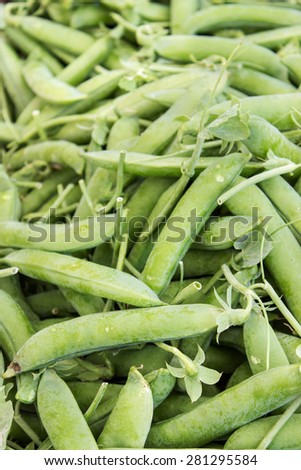 many fresh green pea pods / fresh pea pods / vegetables