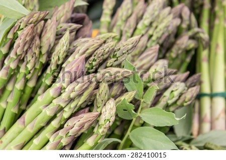 Fresh, Green asparagus/ Green asparagus / vegetables