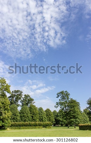 Park with lawn, trees, blue sky and clouds / parkland / Summer
