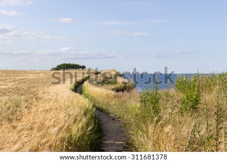Baltic landscape with hiking, barley field and the sea / at the Baltic Sea / Baltic Coast