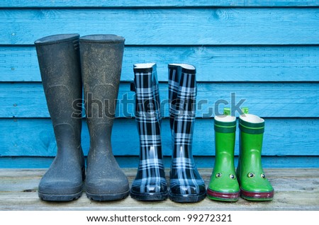 three boots/gardening/boots