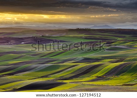 Puglia landscape at sunset - Southern Italy