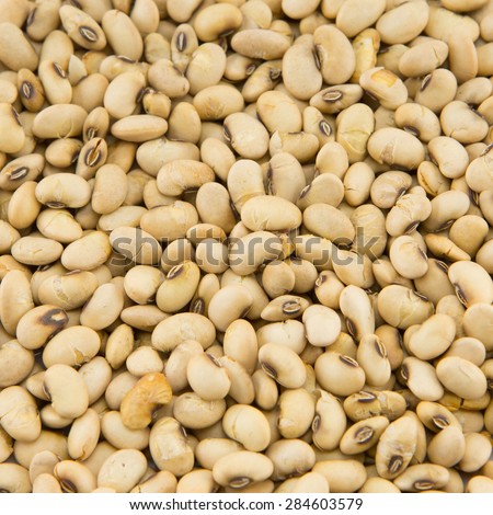 dry soybean pattern use for background