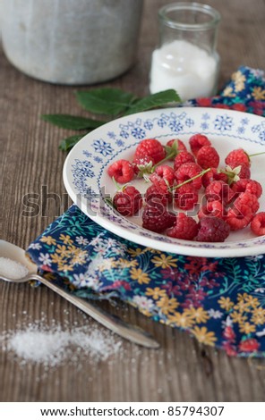 Closeup of raspberries in a plate with a milk-can