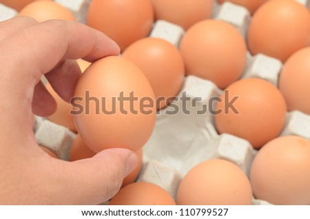 Hand select egg in carton closeup