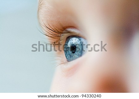 Beautiful blue eye macro shot