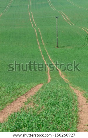 A Wooden Electric Pole and Long Paths in a Green Field