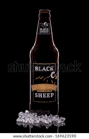 HARTLEPOOL, ENGLAND - JANUARY 03, 2014: A bottle of Black Sheep Golden Sheep Fine Pale Ale isolated on black . Pale ale brewed using time honoured methods and fermented in Yorkshire Square vessels.