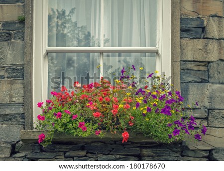 Colourful Flowers in a Window Box of an Old English Stone House.