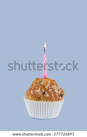 A Birthday Cupcake with a Candle Isolated on a Blue Background. Copy Space.