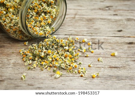 Chamomile Chamomile tea in the jar on the wooden table.
