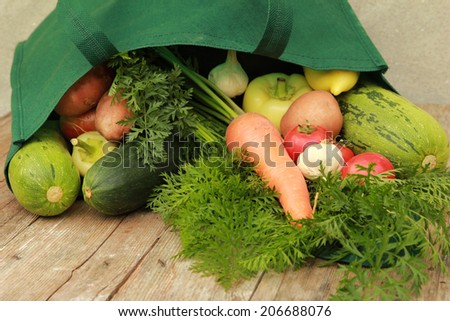 Vegetables Mixed vegetables in the bag - shopping concept