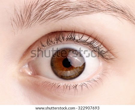 Close up view of a brown wide open woman eye - no make up on