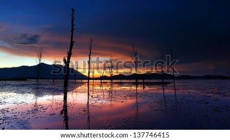 Dead tree trunks and branches submerged in a lake at sunset, Thailand