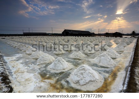 Salt farm with morning light at Phetchaburi Province, Thailand