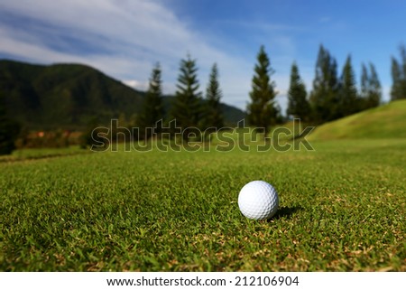 Golf ball on the golf course  with pine tree and blue sky