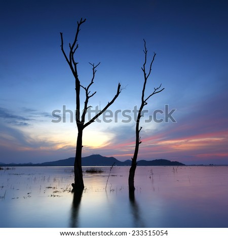 Sunset at death trees with fear in the lake of thailand