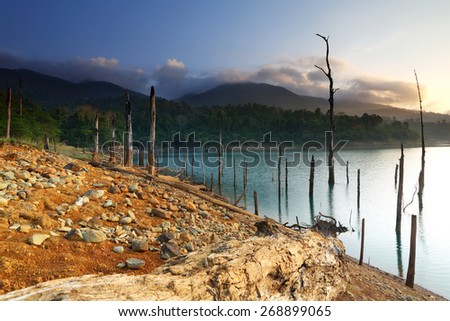 Dead tree trunks and branches submerged in a lake at sunrise, Chanthaburi of Thailand