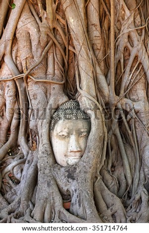 Face buddha statue trapped in tree roots at Ayutthaya, Thailand