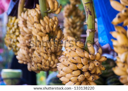 Ripe bunches of bananas for sale at a market stall in the United Arab Emirates