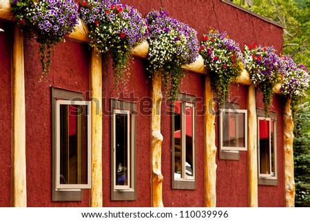 a Red Wall with flowers and windows