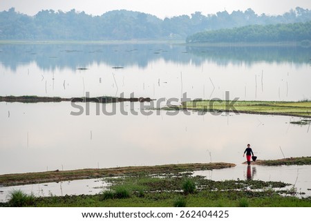 LAO CAI, VIETNAM - FEBRUARY 13: Rice fields on a misty day in the countryside on February 13, 2015 outside Lao Cai. Vietnam is the second largest exporter of rice worldwide.