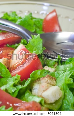 Close up of a Garden Salad