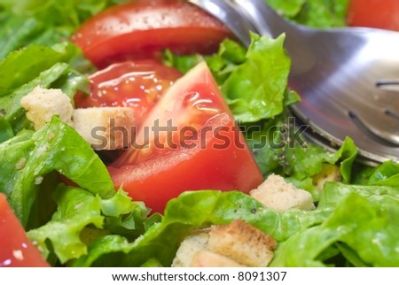 Close up of a Garden Salad