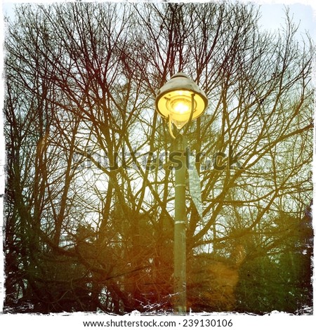 Old Gas Lamp in Winter