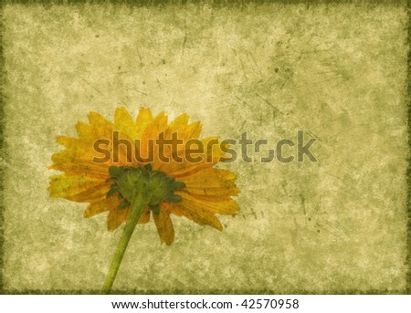 Grunge green paper with yellow daisy and space for text or image