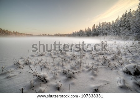 The frozen winter lake in wood under snow, winter landscape