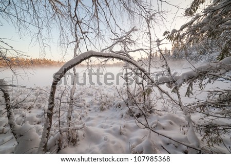 The frozen winter lake in wood under snow, winter landscape