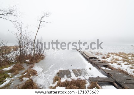 At the frozen foggy lake. A landscape