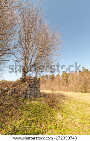 Ruins of the old stone house which have grassed and a moss. Spring
