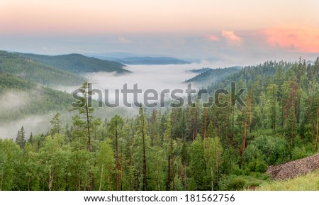 Fog in mountain wood. A summer landscape