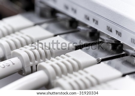 Network cables connected to a switch