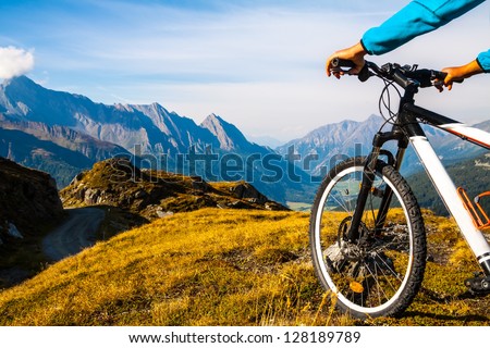 Mountain Bike Wheel And Sommer Alpine Landscape