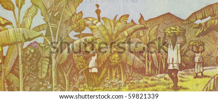 GUINEA - CIRCA 1998: Harvesting Bananas on 100 Francs 1998 Banknote from Guinea, CIRCA 1998