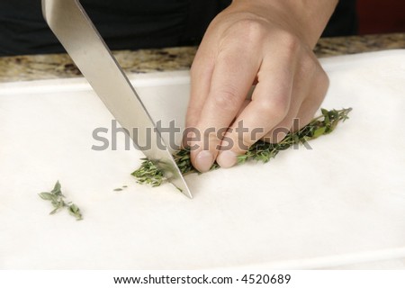 Cook cutting thyme in preparation for a meal.