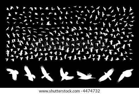 Silhouettes Of Flying Birds Stock Vector Illustration 4474732