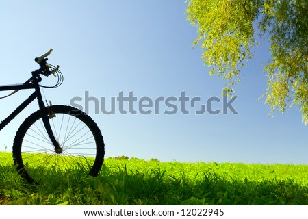 Mountain bicycle at sunny day at field