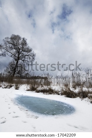 Winter landscape. Tree, weathered weed, snow and ice.