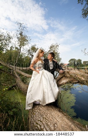 the newly married couple sitting  at fallen tree near water