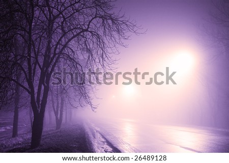 Foggy road at night and trees.