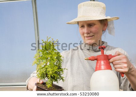 Middle aged smiling woman watering plant in her hands