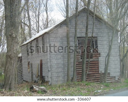 old shack in the woods