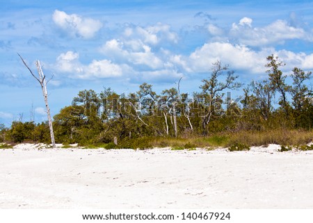 Sanibel Island, Florida, wild nature