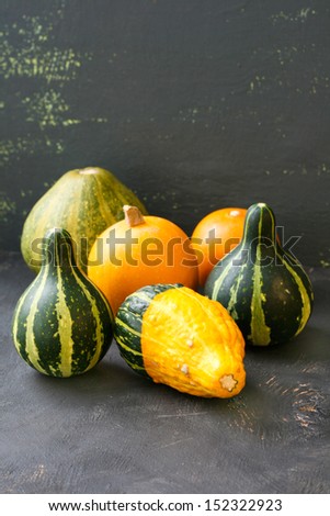 Mini pumpkins different shapes and types