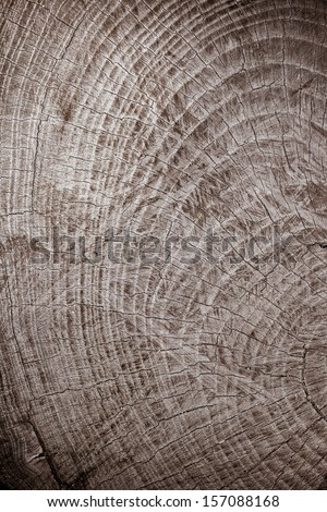 Wood rings structure, background
